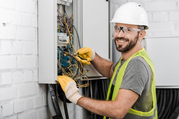 Best Electric Panel Repair  in Lake Waynoka, OH