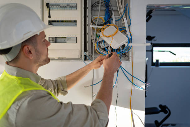 Best Electric Panel Repair  in Lake Waynoka, OH